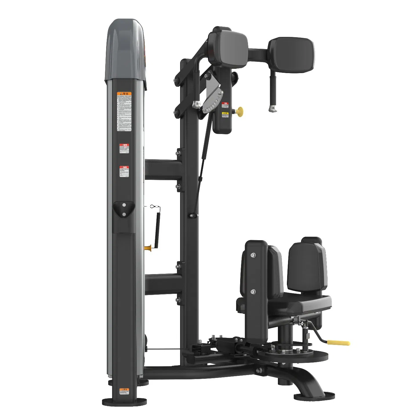 Torso Rotation for Weightlifting, Bodybuilding, and Training Workouts