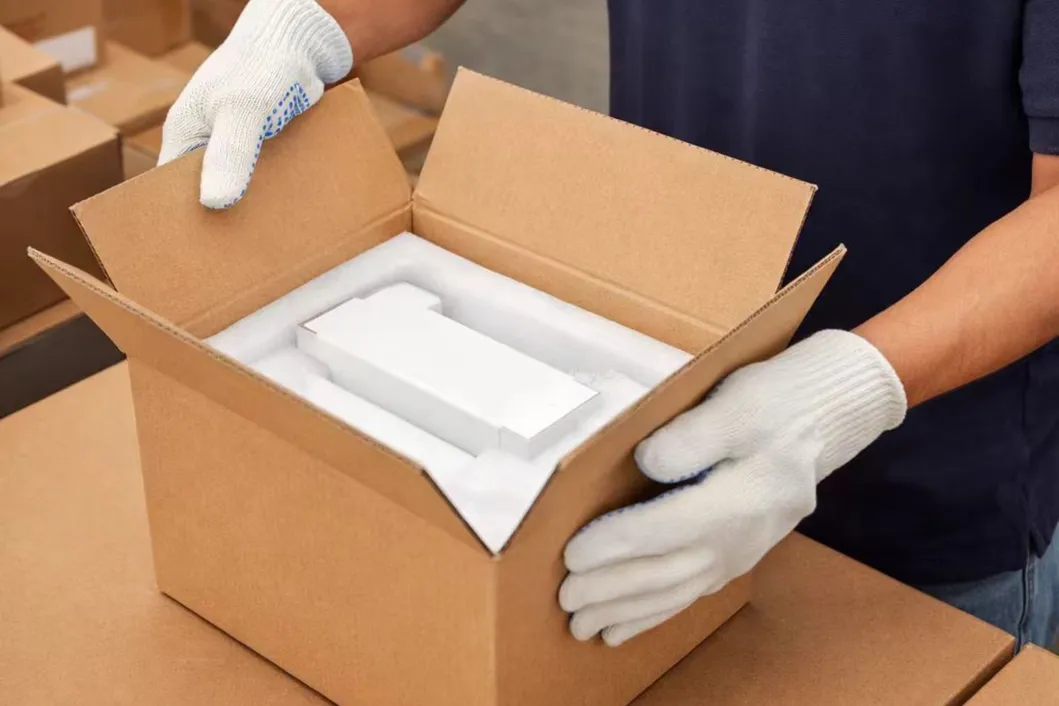 Dental Phantom Head Packaging