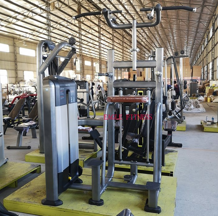 Professional Gym Body Building Rotary Torso for Sale