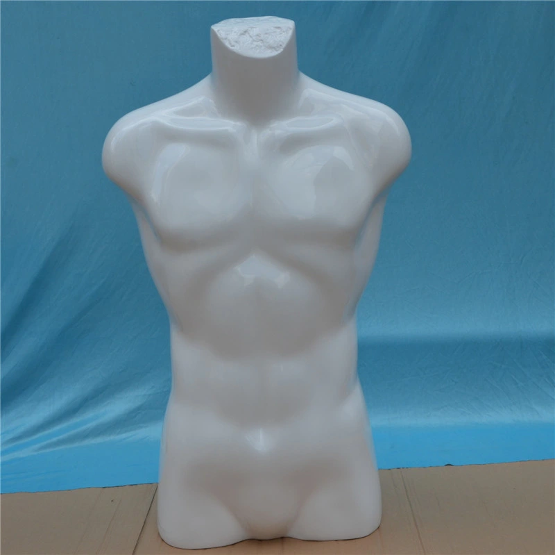 Headless Upper Body Mannequin for Window Display