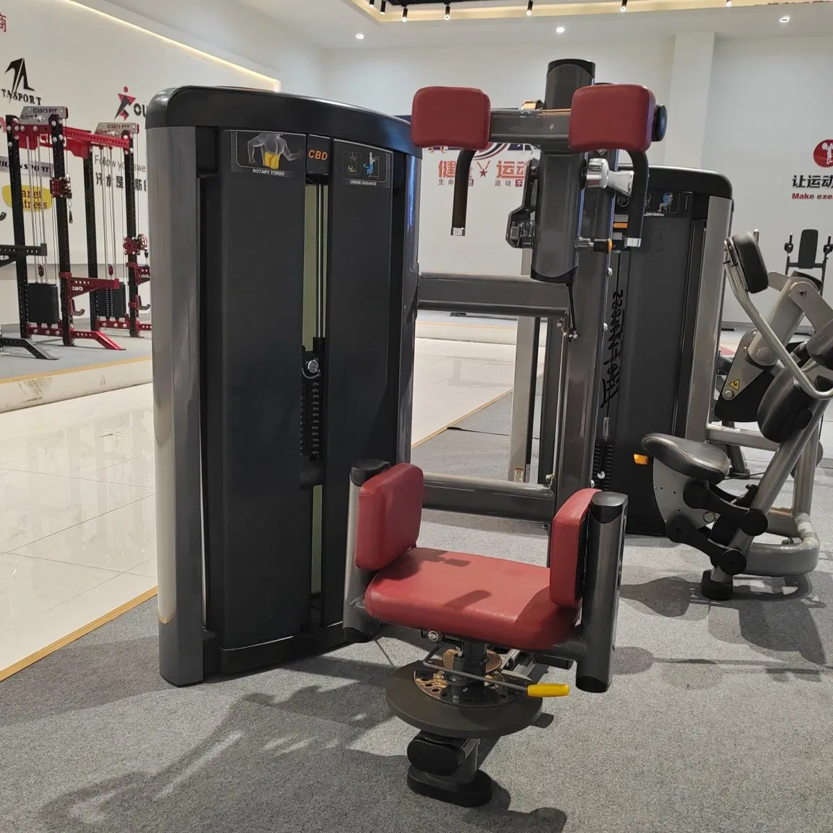 Professional Pin Loaded Rotary Torso Gym Machine Heavy Duty for Torso Strength Building