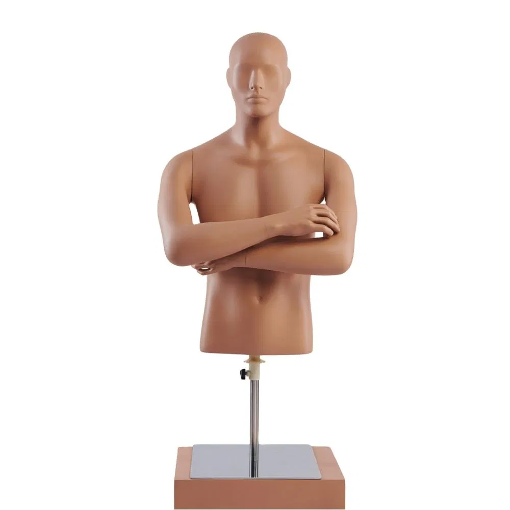 Skin Color Torso Forms Half Body Male Mannequin for Tshirt