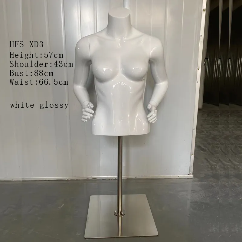 Female Model Display