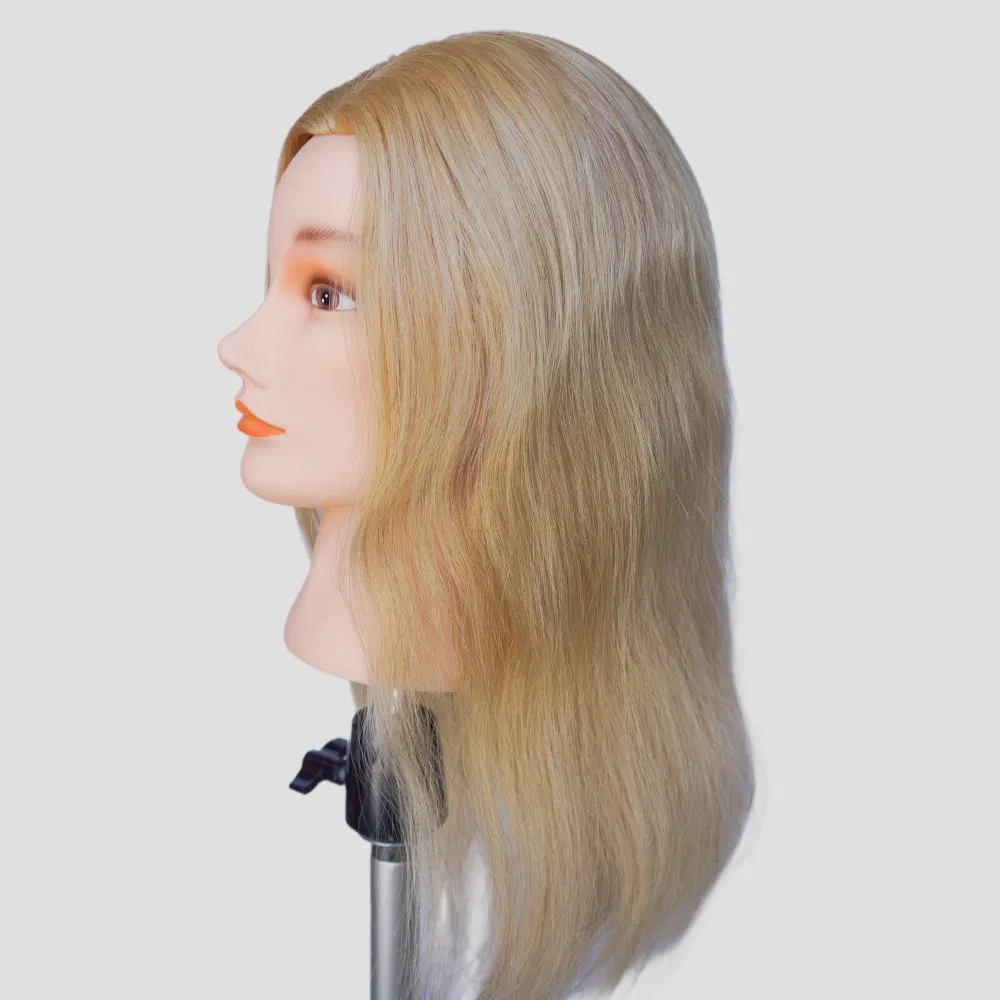 Training Mannequin Front View