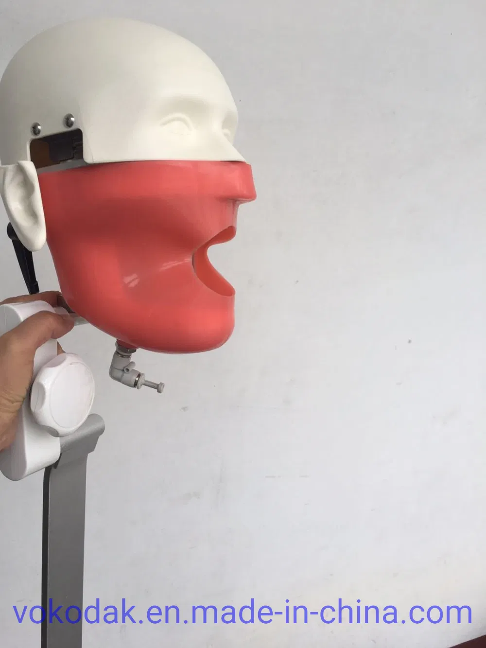Dental Simulation Practice Phantom Head Torso for Dental School University Clinics Study and Training