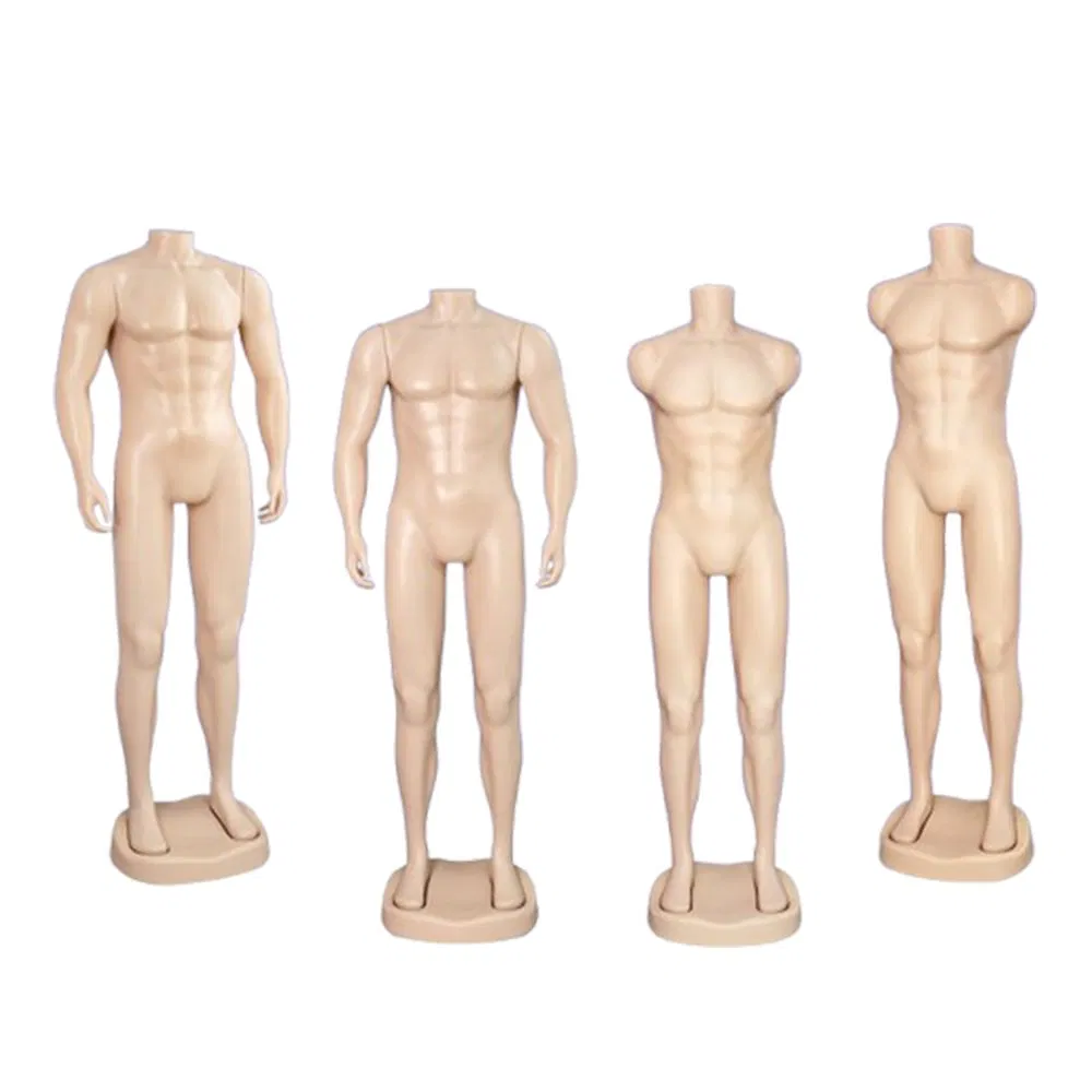 High Class Large Size Headless Mannequin in Glossy/Matt Skin with Abdominal Muscles and Plastic Base Made of PP/PE/ABS/Fiber Glass for Male Clothes Shop Display
