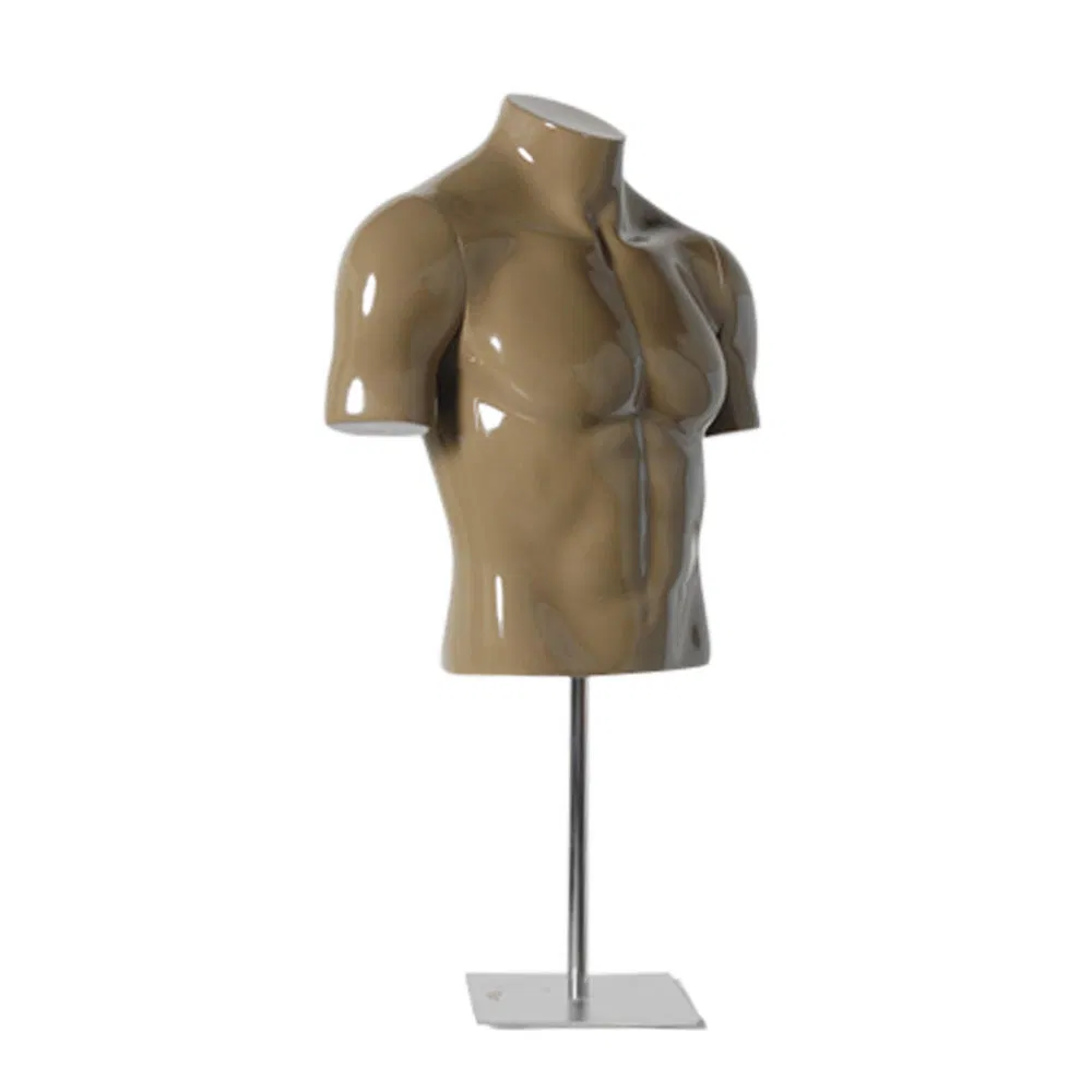 Sporting Muscular Male Half Body Mannequin Without Head and Arm