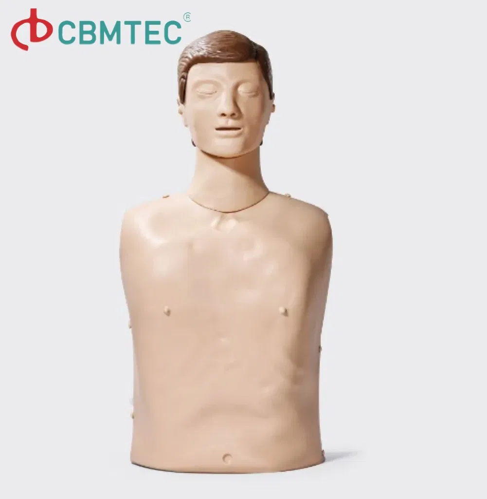 Infants Medical Teaching CPR Manikin First Aid Training CPR Manequin Torso