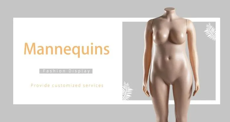 Plus Size Model Female