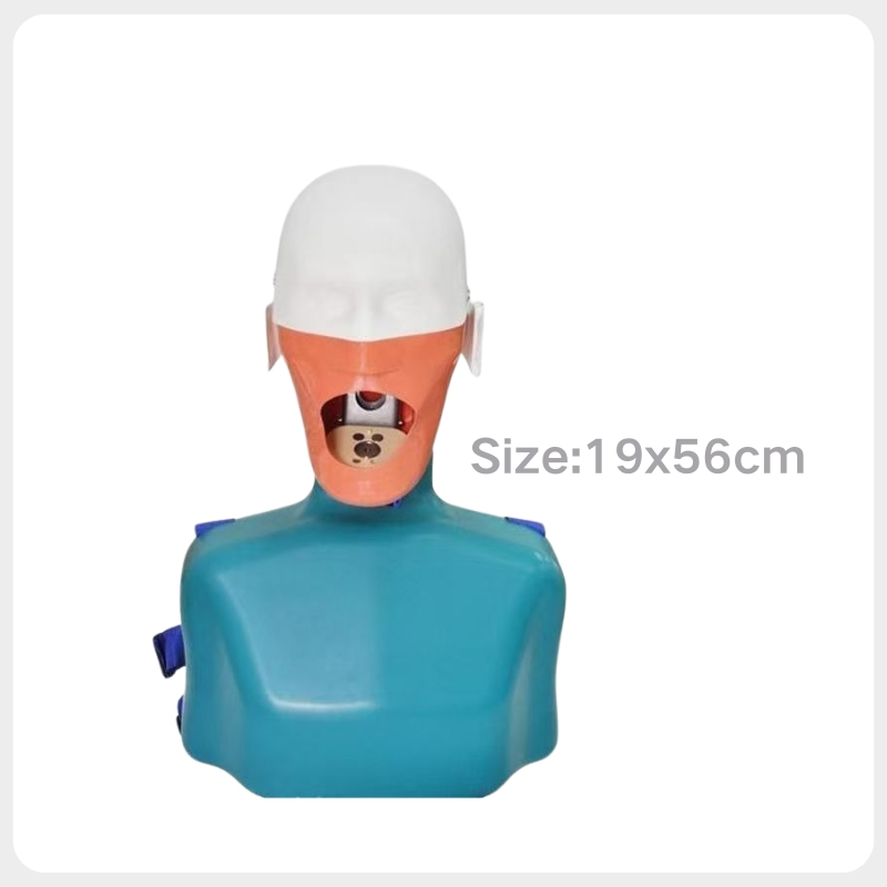 Universal Dental Phantom Head Training Mannequin Compatible with Nissin Frasaco Kilgore