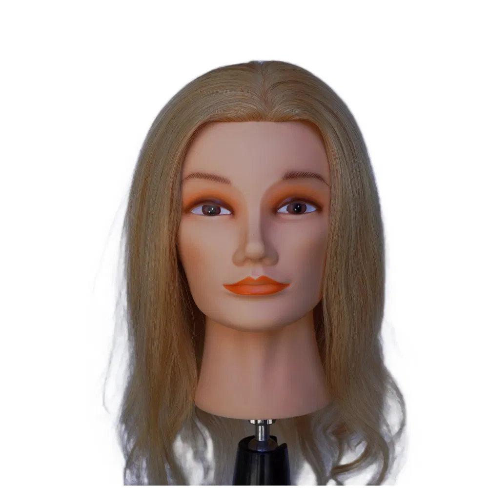 Realistic Male Mannequin Head with Beard for Hair Styling