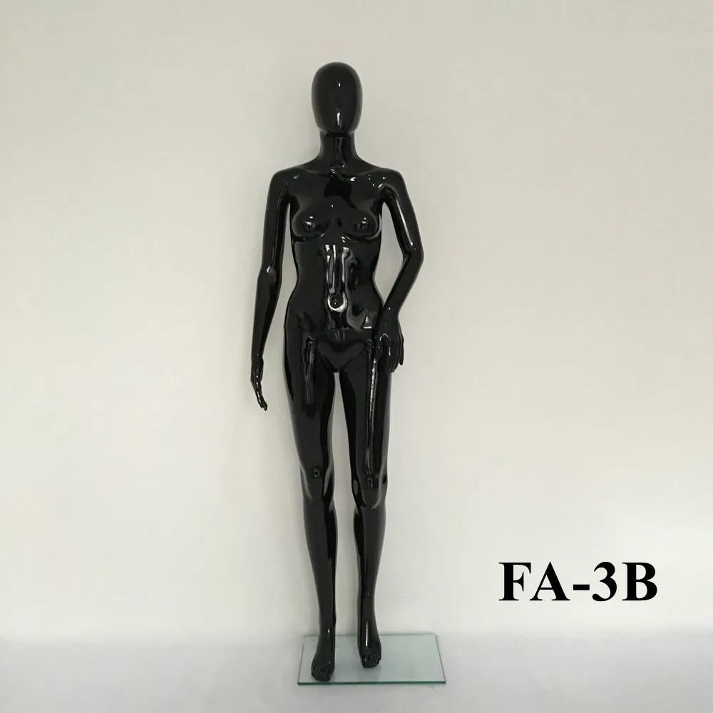 Display Model View 1