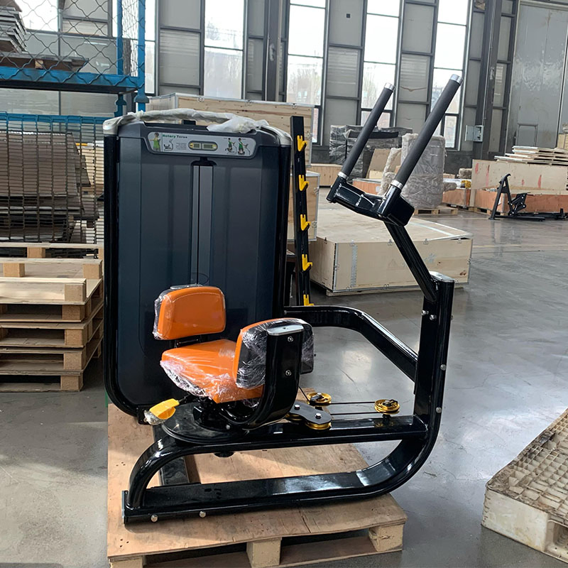 Professional-Grade Rotary Torso Gear High-Quality Strength Training Equipment for Gym Performance