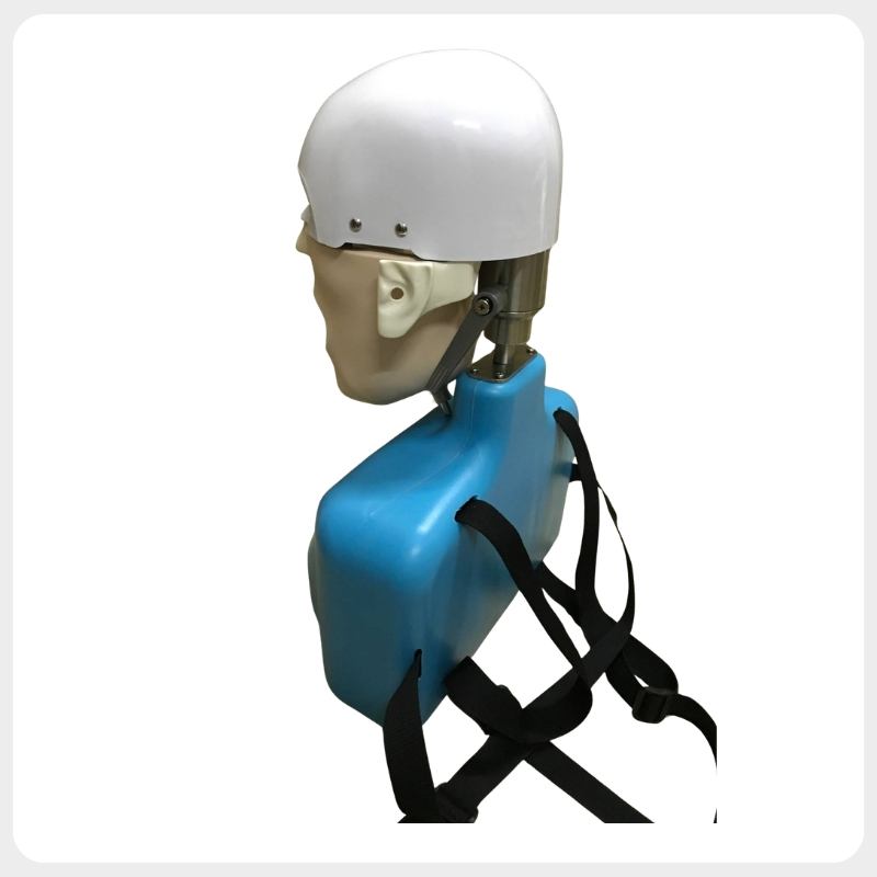 Universal Dental Phantom Head Training Mannequin Compatible with Nissin Frasaco Kilgore