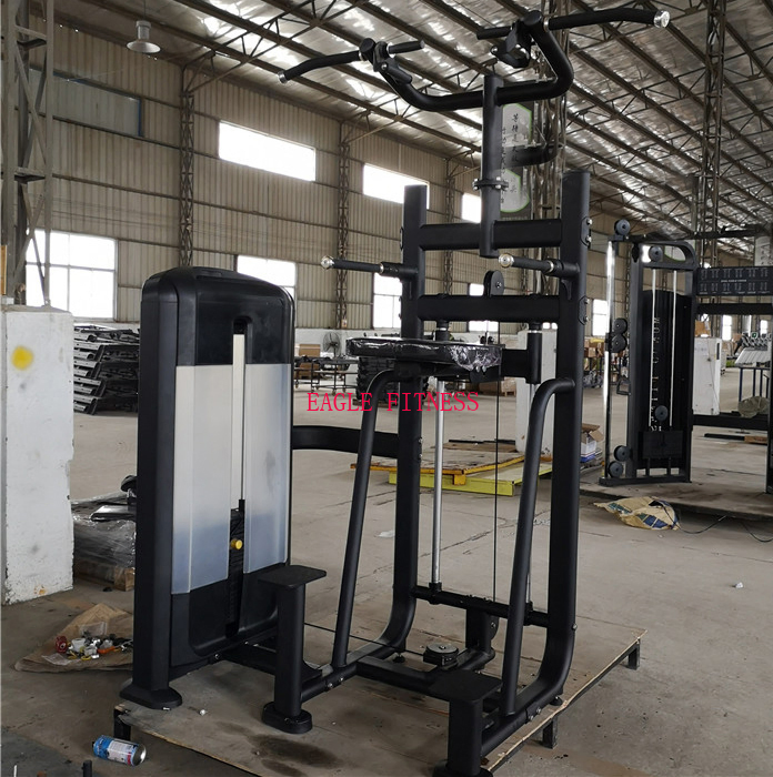 Professional Gym Body Building Rotary Torso for Sale