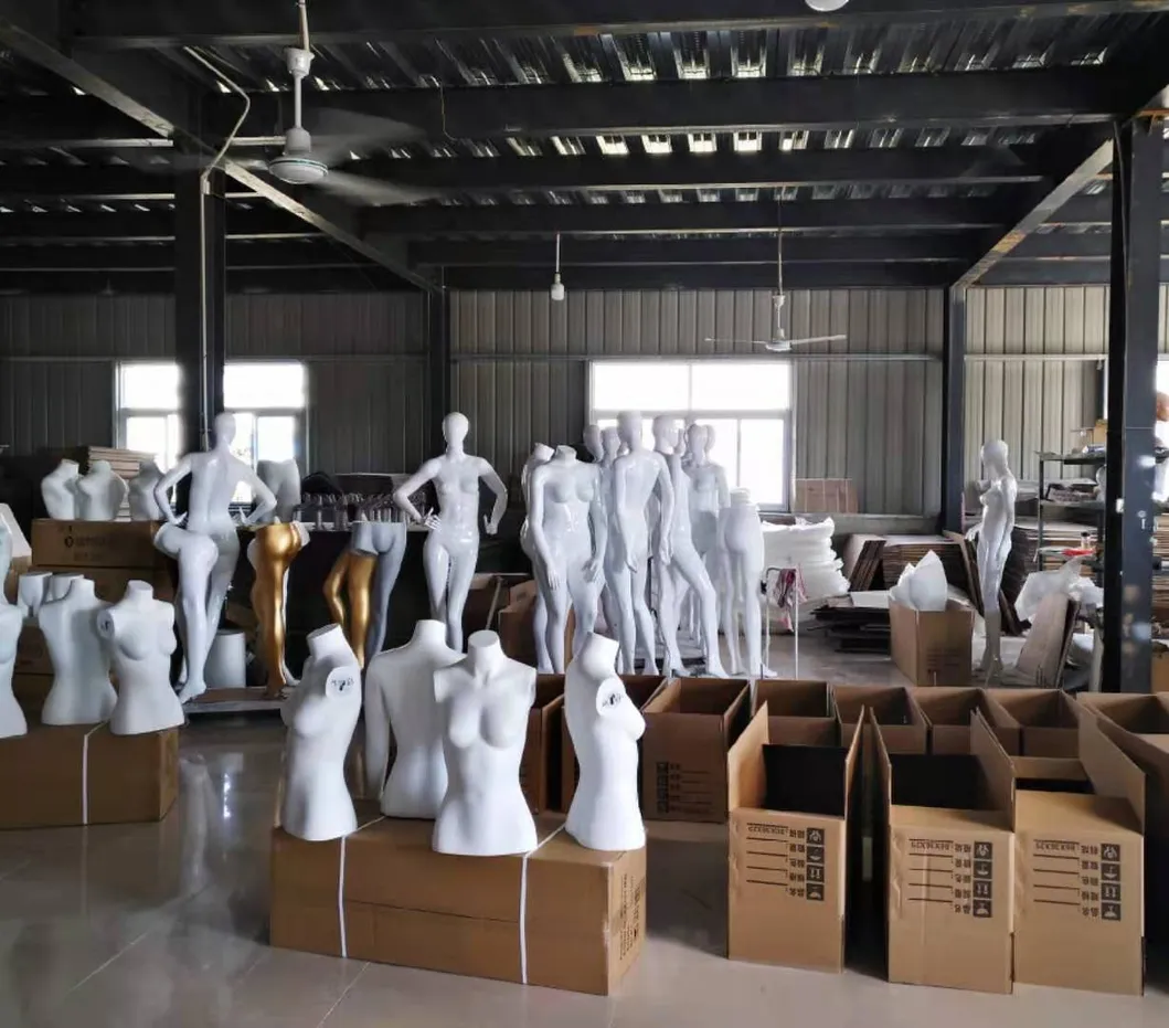 Mannequin Packaging Details