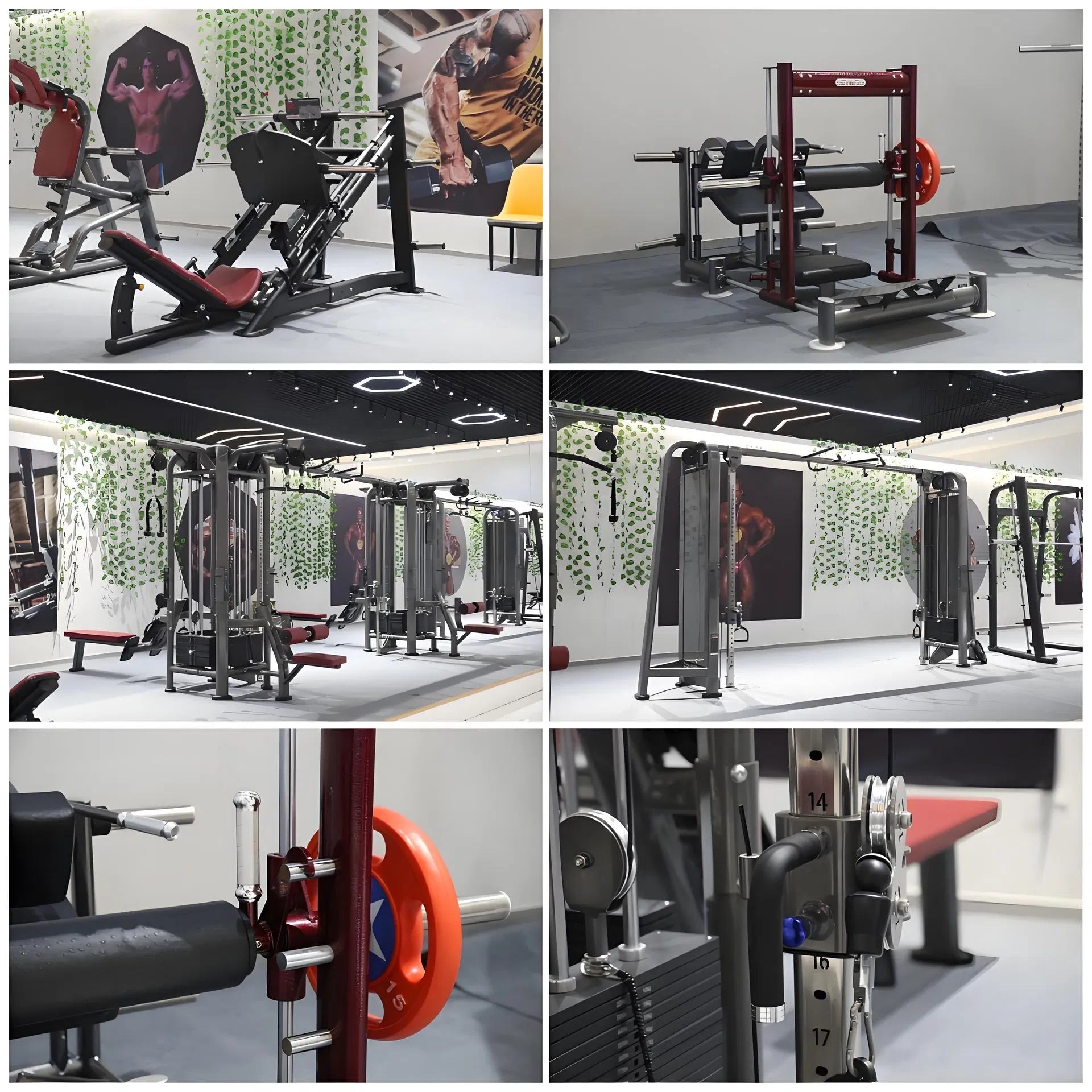 Professional Rotary Torso Gym Machine