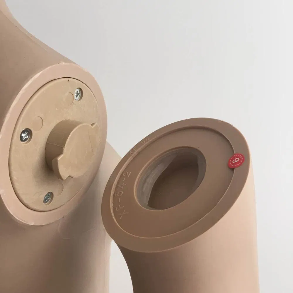 Female Standing Plastic Mannequin Display Model