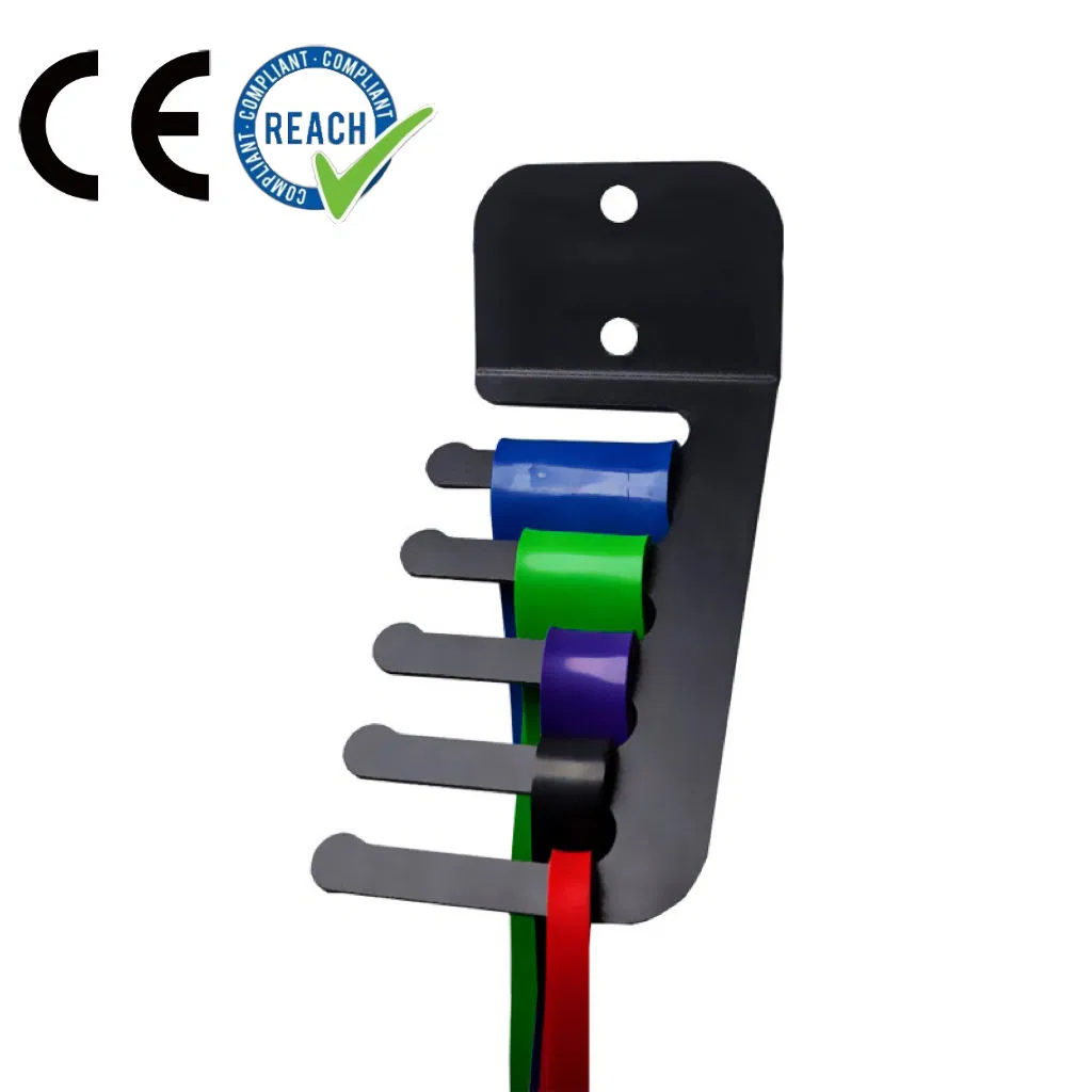 Heavy Duty Wall Mounted Resistance Band Rack Gym Equipment Storage Hanger