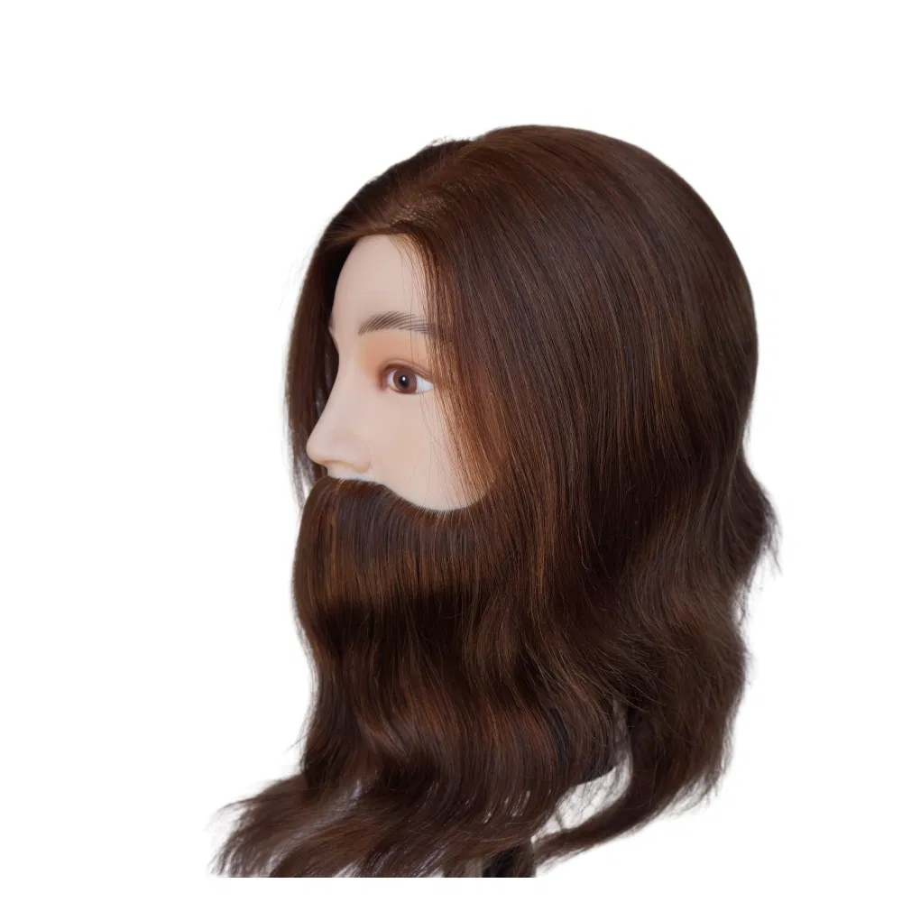 Realistic Male Mannequin Head with Beard for Hair Styling