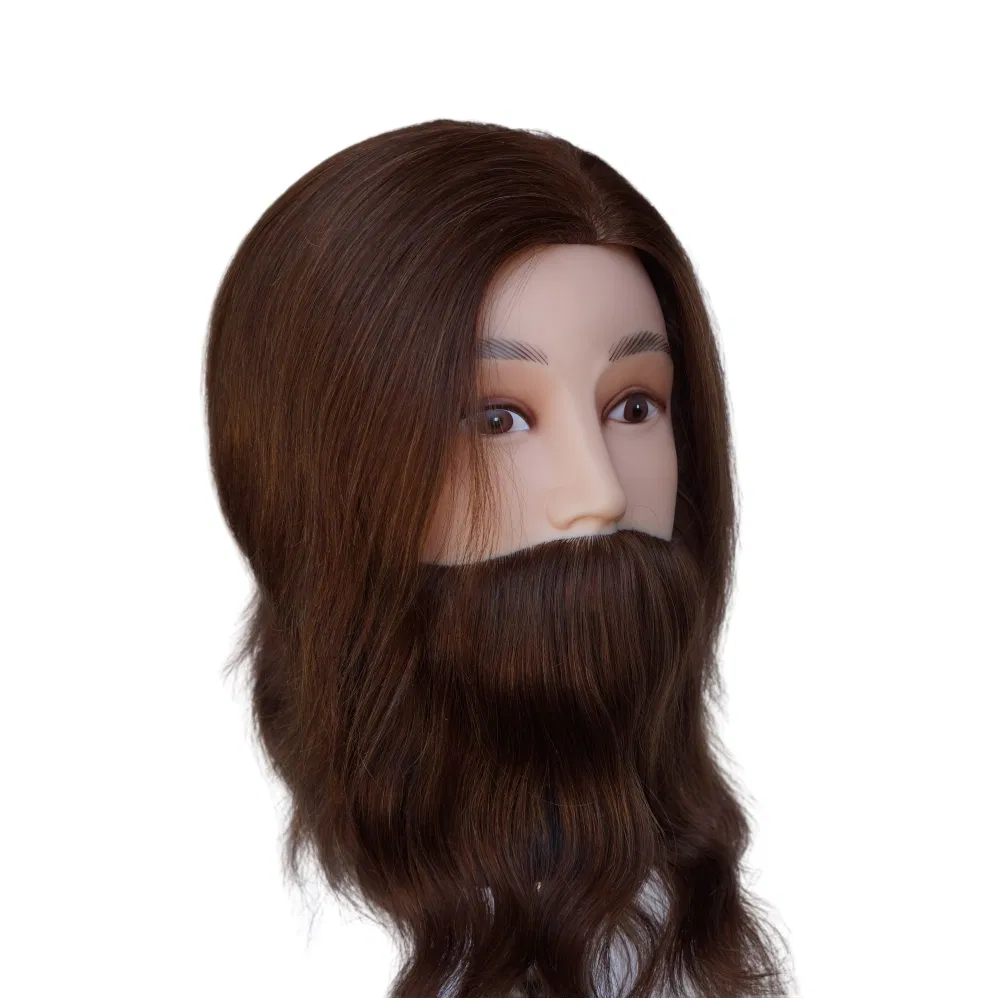 Realistic Male Mannequin Head with Beard for Hair Styling