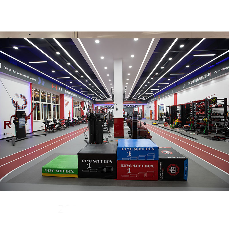 Torso Rotation for Bodybuilding, and Training Workouts