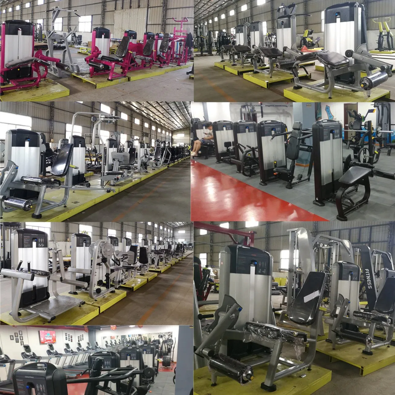 Professional Gym Body Building Rotary Torso for Sale