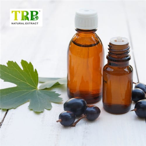 Wholesale Black Cumin Seed Oil Manufacturers, Suppliers