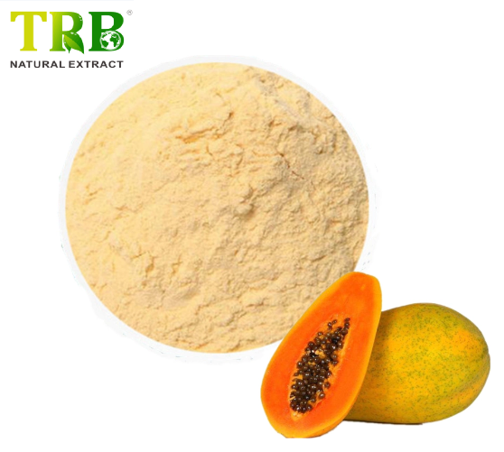 Wholesale Papaya Juice Powder Manufacturers, Factory