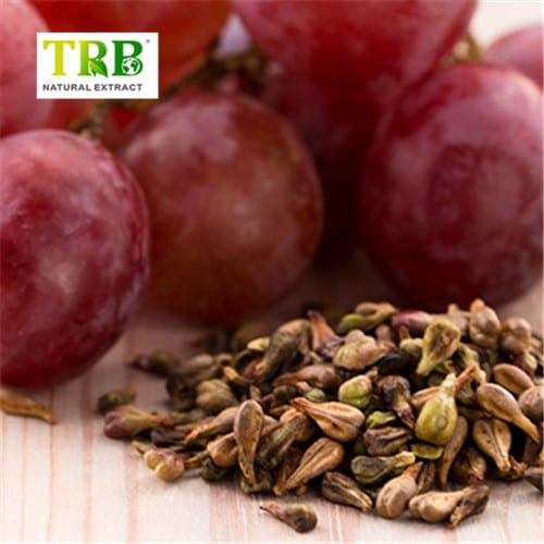 Wholesale Grape Seed Extract  Supplier, Suppliers