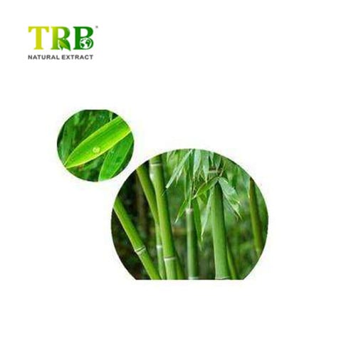 Wholesale  Bamboo Leaf Extract Manufacturer, Manufacturers