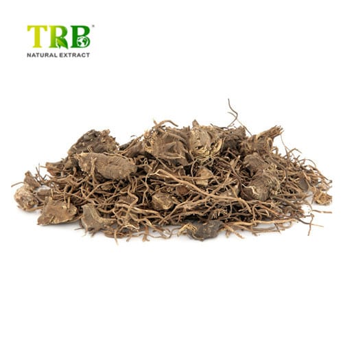 Wholesale Black Cohosh Extract Factory, Factories