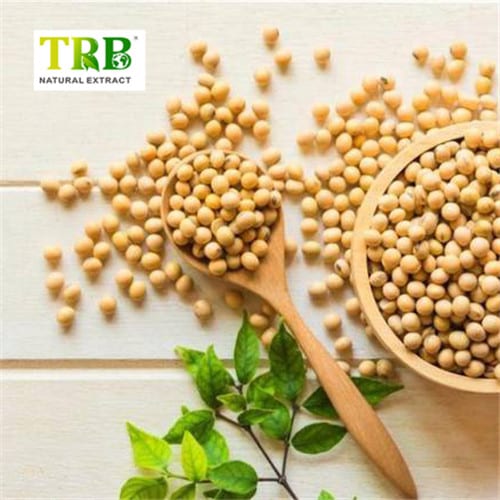 China Daidzein 98%  Manufacturer, Factories