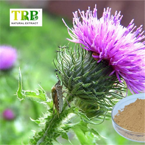 China Soluble Milk Thistle Extract Manufacturers, Factories