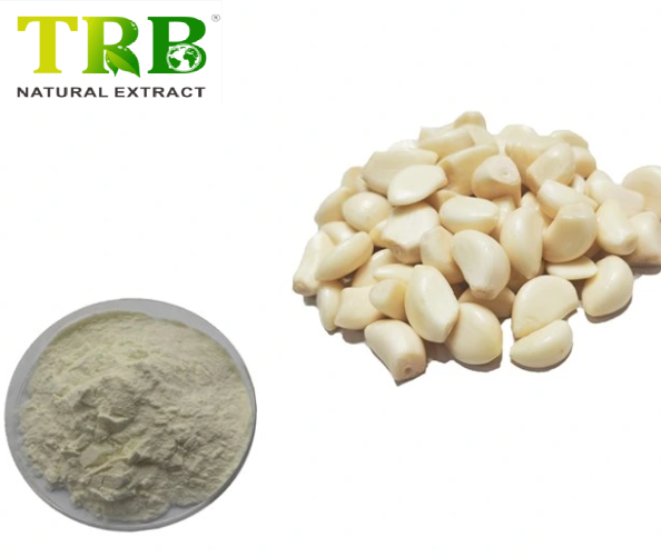 China Garlic Powder Manufacturers, Supplier
