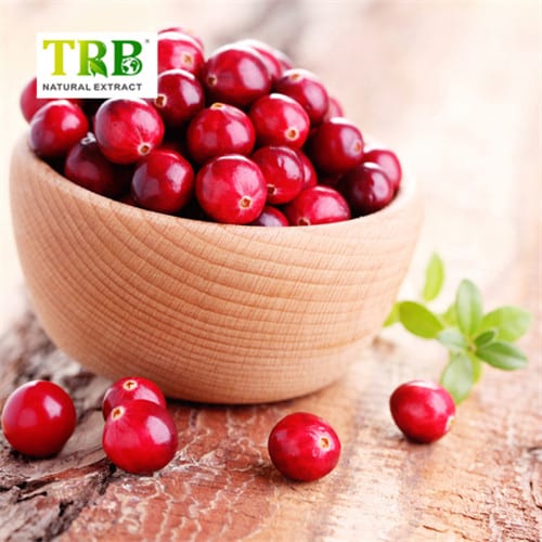 Wholesale Cranberry Extract Supplier, Factories