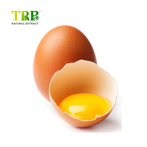 China Egg Phospholipids Manufacturer, Supplier