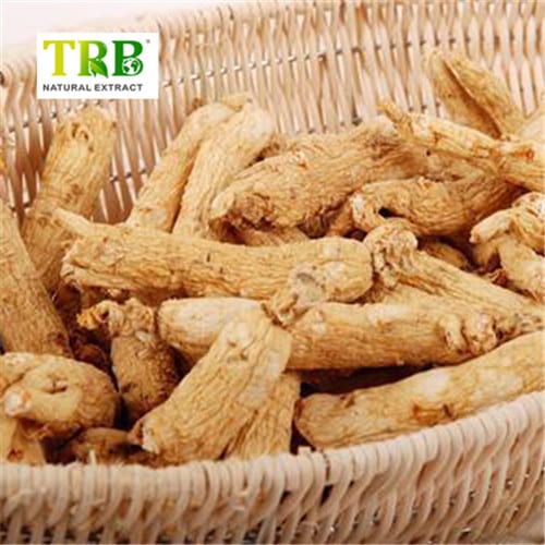 Wholesale Siberian Ginseng Extract Supplier, Factory