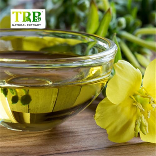 China Evening Primrose Oil  Manufacturers, Suppliers