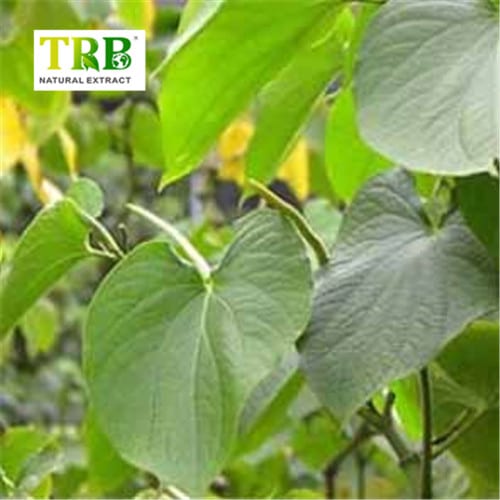 China Kava Extract Manufacturers, Factory