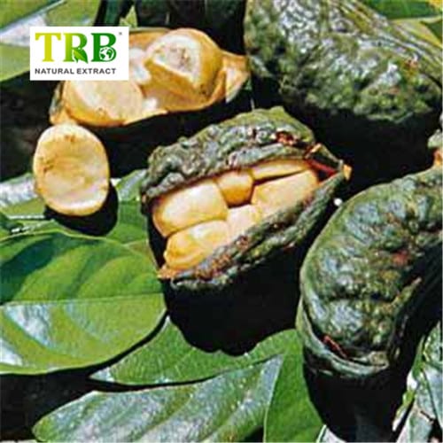 China Kola Nut Extract Factory, Factories