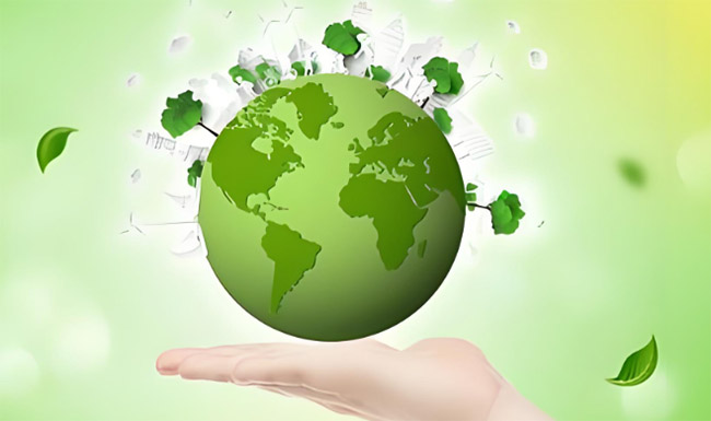 TRB BioExtract global herbal extract export - serving 60+ countries worldwide with certified botanical ingredients