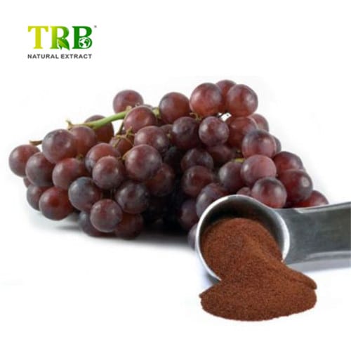 Wholesale Grape Seed Extract  Supplier, Suppliers