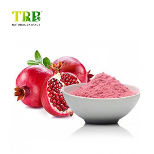 China Pomegranate Fruit Juice powder Factory, Factories