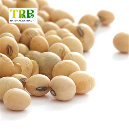 China Daidzein 98%  Manufacturer, Factories