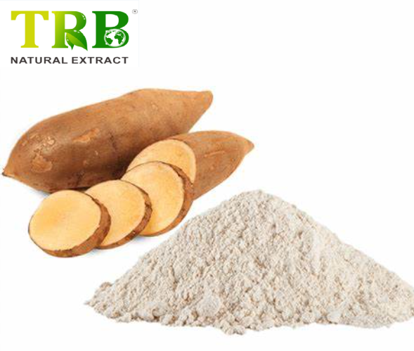Wholesale Saussurea Juice Powder Manufacturers, Supplier