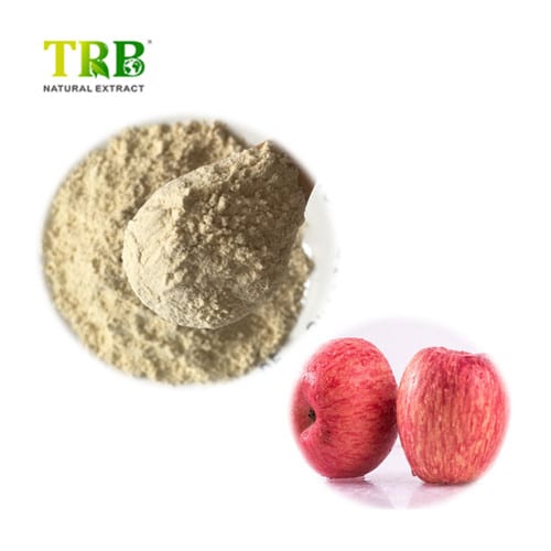 Wholesale Apple fruit juice powder Factory, Factories
