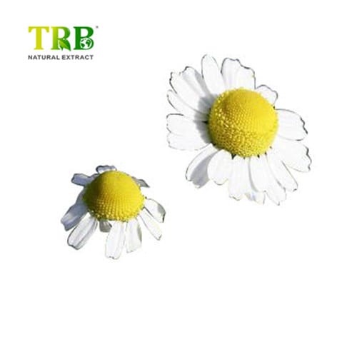 Wholesale Chamomile Extract Apigenin  Suppliers, Factory