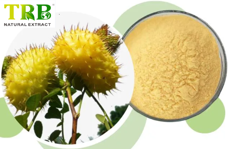 Wholesale Rosa Roxburghii Juice Powder Factory, Factories