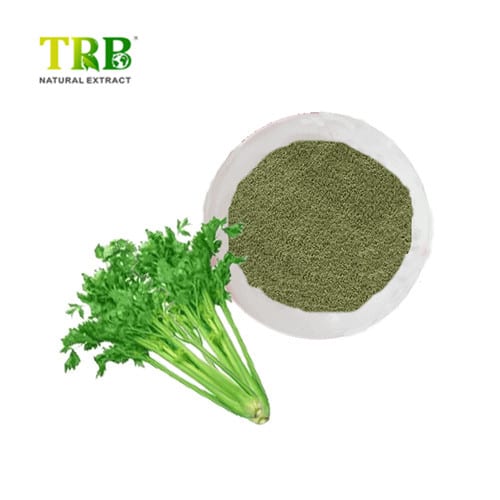 Wholesale Celery Juice powder Manufacturer, Manufacturers